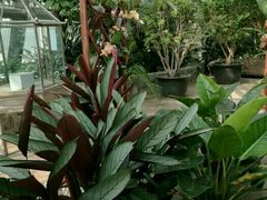 -北京植物园-展览温室