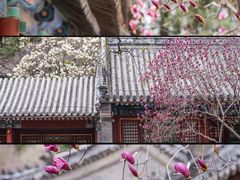 -潭柘寺景区
