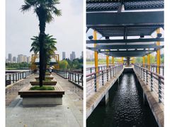 -白塘生态植物园