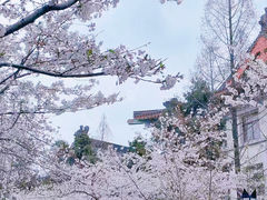 -鸡鸣寺