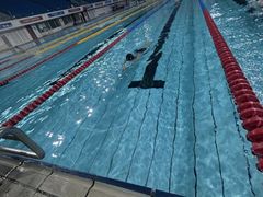 -广西体育中心-游泳馆