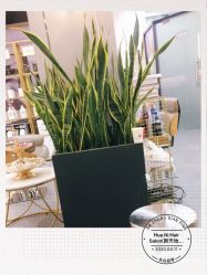 -FUTURE HN男士发型风格设计