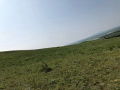 -乌兰布统草原