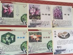 -双喜农庄·菌香园(安居家园店)