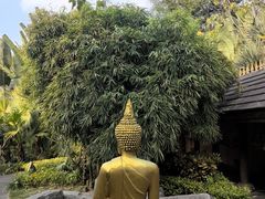 -西双版纳洲际度假酒店兰吧