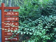 -大岭沟猕猴桃谷风景区