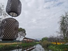 -长田漾湿地公园