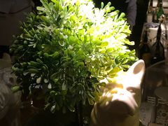 -胡桃里音乐酒馆(曲江店)