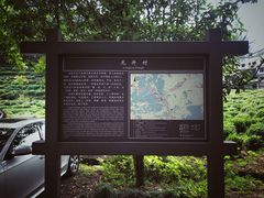-龙井村