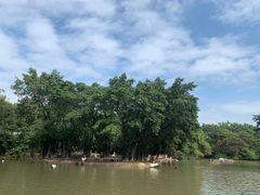 -广州长隆飞鸟乐园