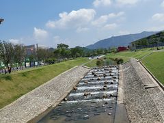 -光明小镇欢乐田园