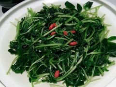 泉水鸡毛菜-蒸膳坊(王寨店)