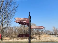 -盐城丹顶鹤湿地生态旅游区