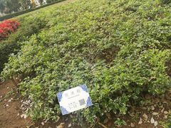 -纪念孙中山市政公园