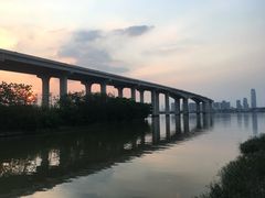 -大湾区中央湿地公园-十九涌