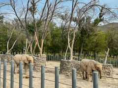 -新疆天山野生动物园