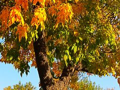 -北京西山国家森林公园