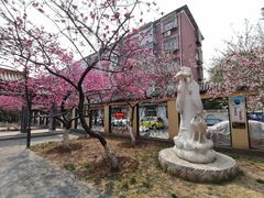 -桃花堤公园