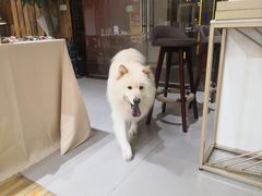 -肆兮眼镜·蔡司·徕卡战略合作店(大坪店)
