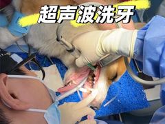 -瑞鹏宠物医院·宠保定点·心脏科·内科(御桥分院)