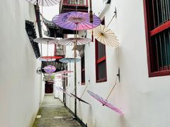 -东山雕花楼