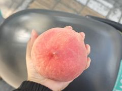 -三中高皇羊肉馆