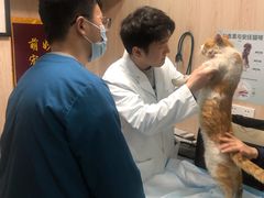 -恒幸动物医院·急重症转诊中心·神经内外科·CT核磁