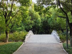 -沙市市中山公园