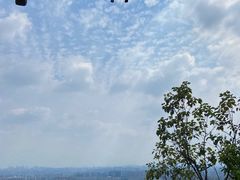 -杭州半山国家森林公园