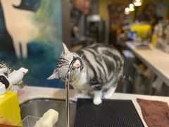 -咖法森林·咖啡  酒吧(天河店)