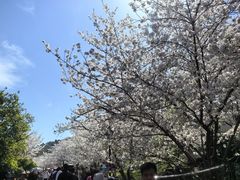 -苏州上方山国家森林公园