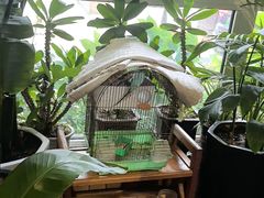 -草原塞蛮羊火锅城(港湾店)