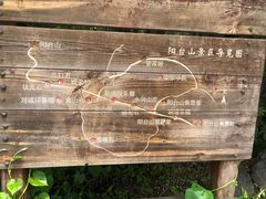 -阳台山自然风景区