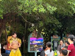 -灵玲国际马戏城