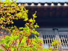 -东海半边山旅游度假区