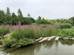 -大望京儿童游乐场