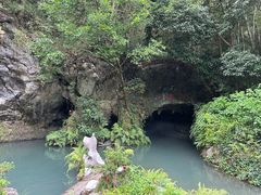 -灵栖洞天