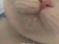 -怪老头甜不辣(抚琴小区店)