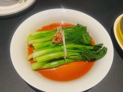 广东菜心-茶人村·前滩江景雅宴(上海首店)