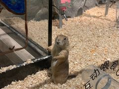 -zoonana室内动物园(东方福来德店)