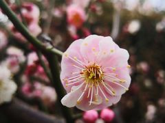 -颐和园