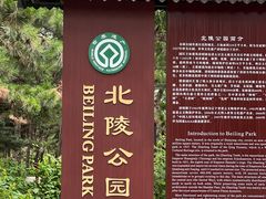-北陵公园
