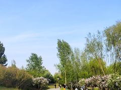 -群力丁香公园