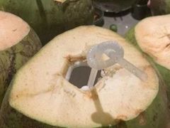 -百年果林椰子鸡(中洲店)