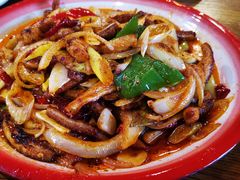 -柴窝堡22号辣子鸡·传承新疆菜