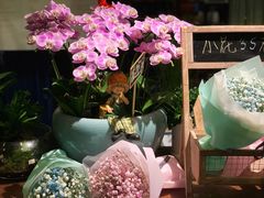 -杂咖zacup(领展中心城店)