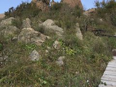 -白草畔自然风景区