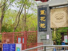 -莲花池公园