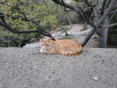 -贮水山儿童公园