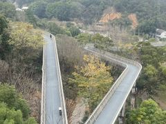 -福道